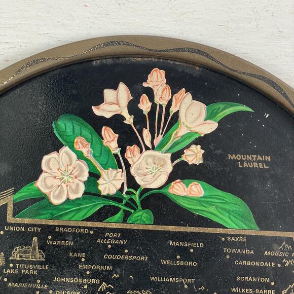 Vintage Round Black Tin Tray State Souvenir Serving Pennsylvania PA Pink Flower - Picture 3 of 7